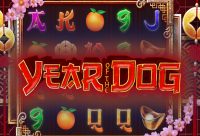 Игровой автомат Year of the Dog